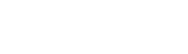 Mega Force Magnets